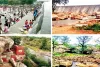 हाड़ौती का ‘मिनी गोवा’ बेजार, बारिश की आस में पिकनिक स्पॉट