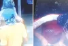 गैस कटर से एटीएम काटकर दो लाख रुपए उड़ाए, वारदात में प्रयुक्त वाहन पर लगा रखी थी फर्जी नंबर प्लेट