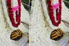 सावन शिवरात्रि पर शिवालयों में उमड़ा आस्था का सैलाब : भोलेनाथ के अभिषेक के लिए मंदिरों में लगी कतारें, कांवड़ यात्रियों का जत्था भी निकला