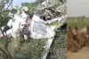 कानपुर में भीषण हादसा: ट्रेनी एयरक्राफ्ट क्रैश, पालयट सहित दो लोगों की मौत
