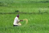 असर खबर का : एफएमएस ऐप पर लगेगी रोक, मिला आश्वासन