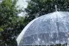 Weather Update : राजस्थान में मानसून का असर बरकरार, 17 सितंबर तक कई संभागों में बारिश और तेज हवाओं का अलर्ट