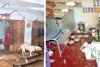 आंगनबाड़ी में मासूमों को एक्सपायरी पोषाहार, टूटे खिलौने और जर्जर छत