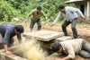 मेघालय में दर्दनाक हादसा: ज़हरीली गैस की चपेट में आने से 4 मज़दूरों की मौत, सेप्टिक टैंक का ढक्कन खोलते ही हुआ हादसा