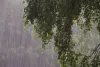 Weather Update : राजस्थान में कमजोर पड़ेगा मानसून, 12 सितंबर से फिर सक्रियता के आसार