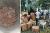 भरतपुर में सूखे कुएं से नकली दवाओं का बड़ा जखीरा बरामद, 150 से अधिक पेटियों में नामी कंपनियों के नकली ब्रांड