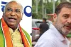 खरगे-राहुल ने दी पीएम मोदी को जन्मदिन पर शुभकामनाएं, स्वास्थ्य और दीर्घायु की कामना की