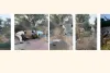 आमेर थाना पुलिस की बड़ी कार्रवाई, 5 हजार लीटर अवैध हथकड़ शराब की वॉश नष्ट, 25 भट्टियां और शराब बनाने के उपकरण किए नष्ट