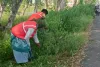 असर खबर का : हाईवे किनारे शुरू हुआ सौंदर्यीकरण कार्य, झाड़ियों और कंटीले बबूल की सफाई शुरू