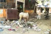 असर खबर का : 12 दिन बाद खत्म हुई सफाई कर्मचारियों की हड़ताल, आज से वापस काम पर लौटेंगे