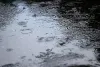 Weather Update : राजस्थान में 16 अक्टूबर तक बारिश का अलर्ट, बीकानेर संभाग में ओलावृष्टि की आशंका