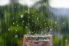 Weather Update : राजस्थान में तीन दिन मौसम रहेगा साफ, 24 अक्टूबर से फिर बारिश के आसार