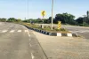 असर खबर का - डिवाइडर के पौधों की शुरू हुई कटाई