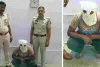 पार्क में अकेली महिला को पारिवारिक समस्या बताकर ठगा, 2 सोने के कड़े लेकर फरार हुआ शातिर गिरफ्तार 