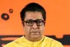 राज ठाकरे का भाजपा पर निशाना, बोले- केंद्र सरकार गांधीजी की सीख को अपनाने की जगह सिर्फ़ फ़ोटो खिंचवाने के मौके पर करती है याद
