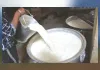 180 दिन दूध देना और सालाना 1800 लीटर की आपूर्ति जरूरी, डेयरी संघों के चुनाव में दूध की आपूर्ति से तय होगा वोट का अधिकार