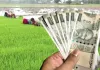 कोटा में 1200 किसानों पर 4.50 करोड़ का कर्जा