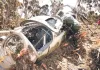 हेलीकॉप्टर क्रैश में ओमोंडी ओगोला सहित 9 लोगों की मौत