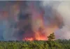 कनाडा के जंगलों में लगी भीषण आग, 6,600 लोगों को सुरक्षित स्थान पर पहुंचाया