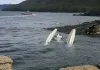 अलास्का में झील में क्रैश विमान से 2 शव बरामद