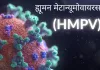 भारत में HMPV वायरस के मिले 2 केस, 8 और 3 महीने के बच्चे संक्रमित 