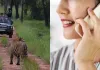 मध्य प्रदेश सरकार का बड़ा फैसला, टाइगर रिजर्व में मोबाइल फोन के उपयोग पर लगाया प्रतिबंध