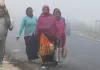 Weather Update : जयपुर सहित कई जिलों में तापमान बढ़ा, कड़ाके की ठंड से मिली राहत 