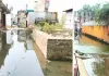 लोगों की परेशानी : निकासी के अभाव में जलभराव से बस स्टैंड मार्ग बना तालाब ,मकानों को नुकसान का खतरा