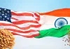 भारत-अमेरिका ट्रेड डील के बाद सस्ती होगी अमेरिकी दाल? कीमतों पर पड़ेगा बड़ा असर