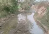 सिंचाई के दौरान खेतों के रास्ते में भरा पानी, किसानों को हो रही परेशानी