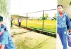नाम का अंतरराष्ट्रीय स्टेडियम, सूखे खिलाड़ियों के कंठ