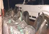 मादक पदार्थ तस्करों ने नाकाबंदी तोड़ पुलिस पर की आठ राउंड फायरिंग, एक करोड़ का डोडा चूरा जब्त