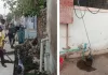 असर खबर का  : छात्रावास व स्कूल क्षेत्र में चला सफाई अभियान