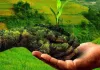 प्राकृतिक खेती से बेहतर होगी धरती की सेहत