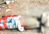 दरिंदगी की सारी हदें पार : शादी होने में आ रही थी रुकावटें, दे दी 11 वर्षीय मासूम की नरबलि