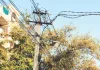 बिजली के तारों पर झूल रहे पेड़, हर समय हादसों का अंदेशा