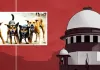 आवारा कुत्तों से जुड़ा मामला : सुप्रीम कोर्ट का पुराने आदेश में संशोधन से इंकार, एनजीओ की याचिका खारिज