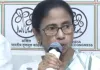 'मेरे इस्तीफे का सवाल ही नहीं, हम हारे नहीं हराया गया है...',ममता ने चुनाव आयोग को बताया विलेन, बोलीं- मैं नहीं दूंगी इस्तीफा 
