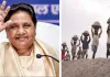 मजदूर दिवस पर मायावती का संदेश : मेहनतकश वर्ग की स्थिति में अब तक सुधार नहीं, मजदूरों और श्रमिकों की स्थिति को लेकर जताई चिंता 