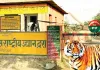 असर खबर का : एडीएम ने एसडीएम व तहसीलदार को दिए जांच कर कार्रवाई के निर्देश