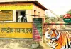 तहसील ने भी कर दी नियम विरुद्ध रजिस्ट्री, डीएफओ ने कलक्टर से लगाई कार्रवाई की गुहार