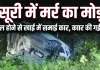 मसूरी में मौत का मोड़ : ब्रेक फेल होने से खाई में समाई कार, 4 की गई जान