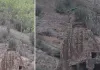 पहाड़ी क्षेत्र में एक साथ नजर आए चार लेपर्ड, बंदरों का शिकार करते हुए कैमरे में कैद, वीडियो सोशल मीडिया पर वायरल