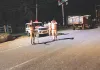 यातायात नियमों की अनदेखी पर पुलिस का शिकंजा 23 दिन में 1.77 लाख से अधिक काटे चालान