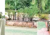 स्मार्ट सिटी में लापरवाही की तस्वीर! करोड़ों के डिवाइडर हुए बैरंग, टाइलें चोरी और सूखे पौधों ने खोली व्यवस्था की पोल