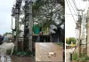 विद्युत डीपी बनी बंदरों के लिए काल, करंट की चपेट में आने से हो रहे हादसे