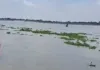 कानपुर में गंगा नदी में उफान : जलस्तर बढ़ने से गहराया बाढ़ का खतरा, लोगों के घरों में घुसा पानी