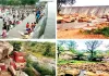 हाड़ौती का ‘मिनी गोवा’ बेजार, बारिश की आस में पिकनिक स्पॉट