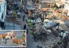 मंडी का जाम, सफाई-पानी की किल्लत, आवारा कुत्ते बने परेशानी