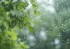 Weather Update : राजस्थान में फिर सक्रिय हुआ मानसून, 17 जिलों में येलो अलर्ट